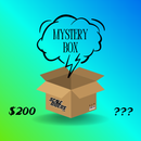 Scale Riders Mystery Box $200