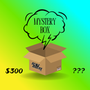 Scale Riders Mystery Box $300