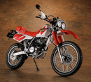 Hasegawa 1/12 Honda XLR BAJA (MD22) (1991)